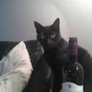 Meet your Posher, Thomas